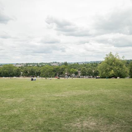 Hilly Fields